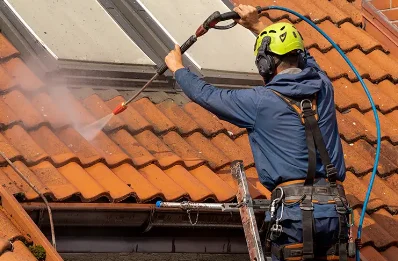 Démoussage et hydrofuge de toiture à Lubbon
